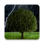 thunderstorm live wallpaper android application logo